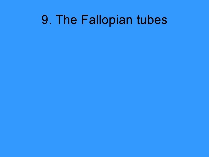9. The Fallopian tubes 