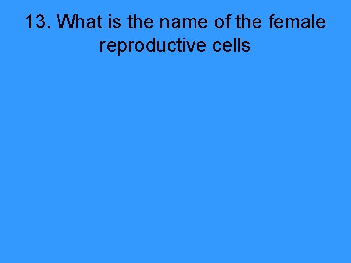 13. What is the name of the female reproductive cells 