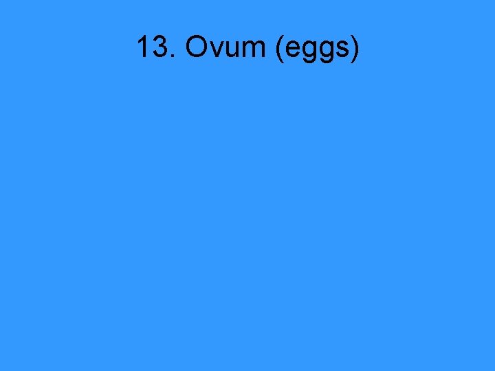 13. Ovum (eggs) 