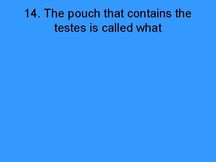 14. The pouch that contains the testes is called what 