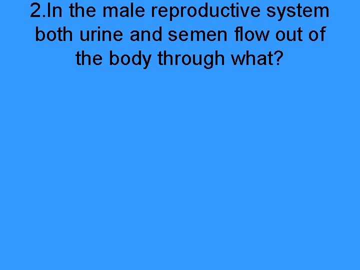 2. In the male reproductive system both urine and semen flow out of the