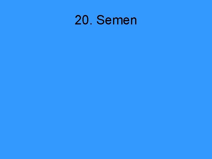 20. Semen 