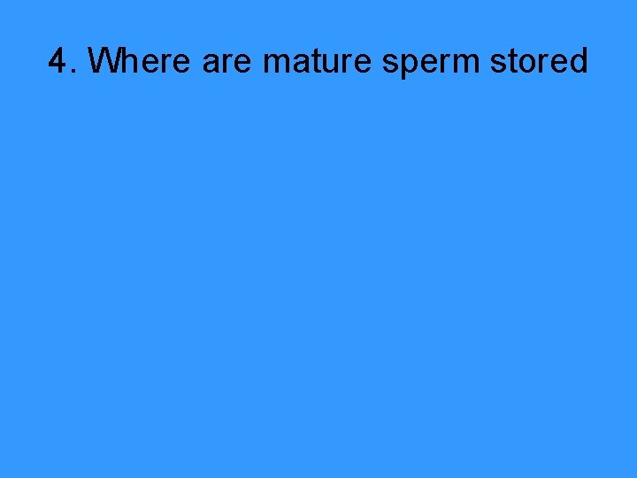 4. Where are mature sperm stored 