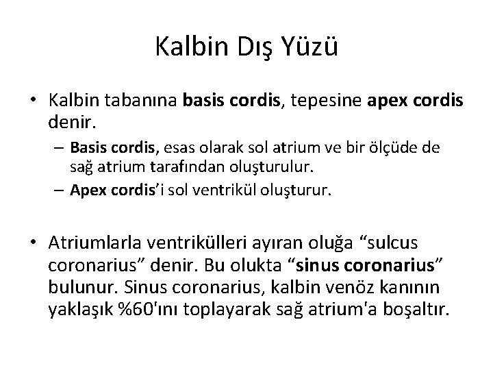 Kalbin Dış Yüzü • Kalbin tabanına basis cordis, tepesine apex cordis denir. – Basis