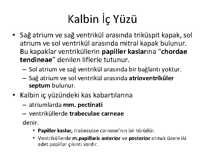 Kalbin İç Yüzü • Sağ atrium ve sağ ventrikül arasında triküspit kapak, sol atrium