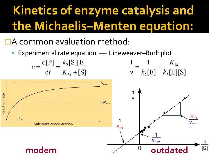 Kinetics of enzyme catalysis and the Michaelis–Menten equation: �A common evaluation method: Experimental rate