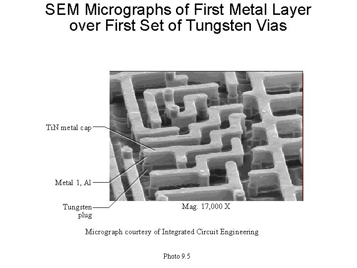 SEM Micrographs of First Metal Layer over First Set of Tungsten Vias Ti. N