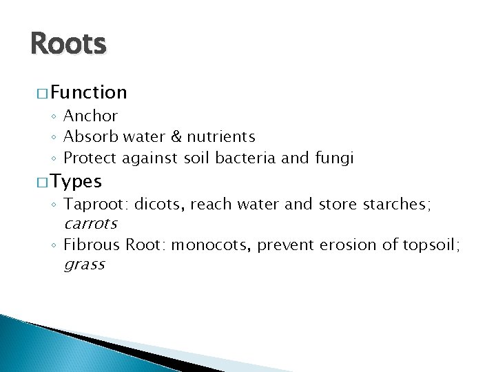 Roots � Function ◦ Anchor ◦ Absorb water & nutrients ◦ Protect against soil