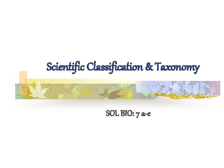 Scientific Classification & Taxonomy SOL BIO: 7 a-e 