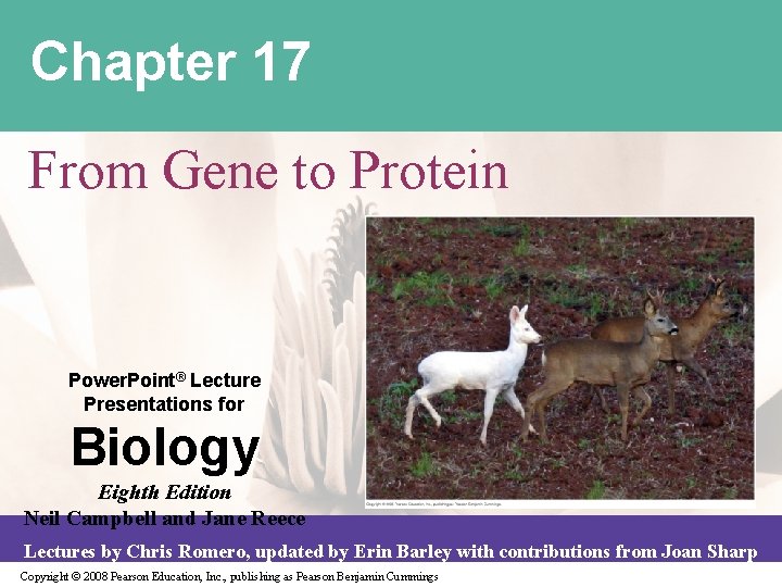 Chapter 17 From Gene to Protein Power. Point® Lecture Presentations for Biology Eighth Edition