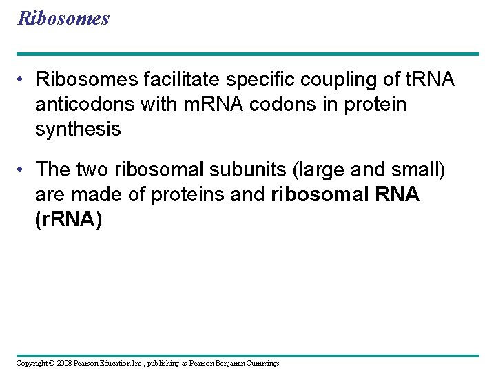 Ribosomes • Ribosomes facilitate specific coupling of t. RNA anticodons with m. RNA codons