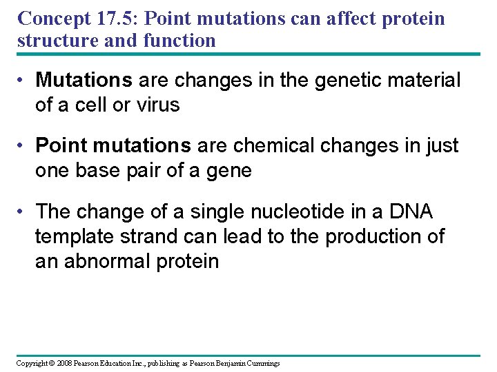 Concept 17. 5: Point mutations can affect protein structure and function • Mutations are