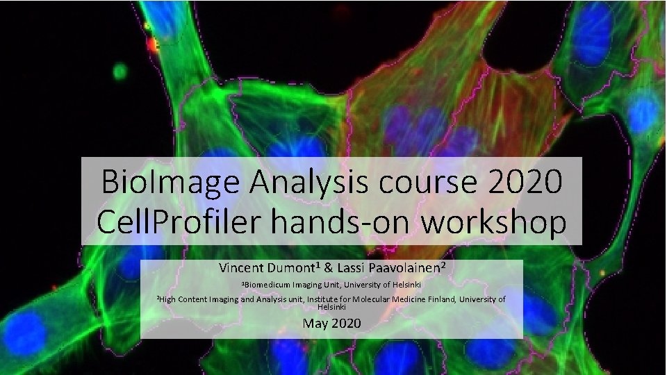 Bio. Image Analysis course 2020 Cell. Profiler hands-on workshop Vincent Dumont 1 & Lassi