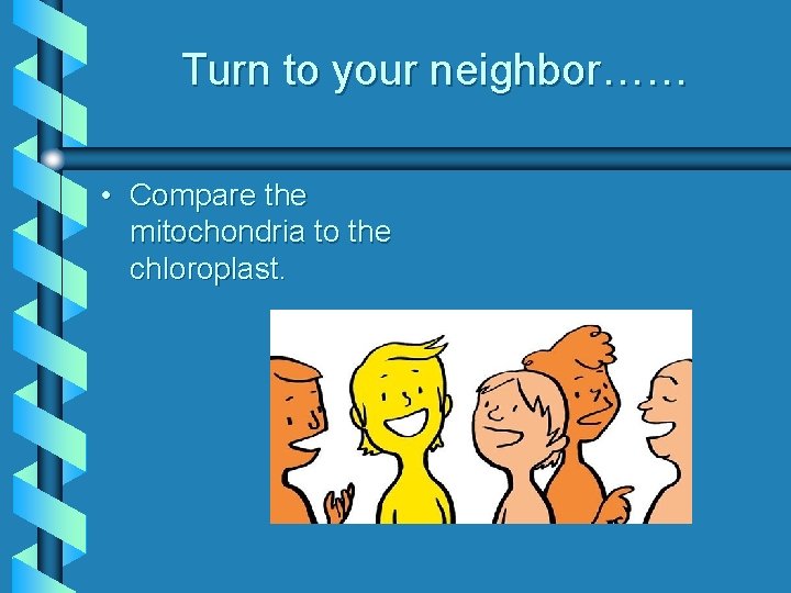 Turn to your neighbor…… • Compare the mitochondria to the chloroplast. 