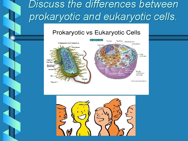 Discuss the differences between prokaryotic and eukaryotic cells. 