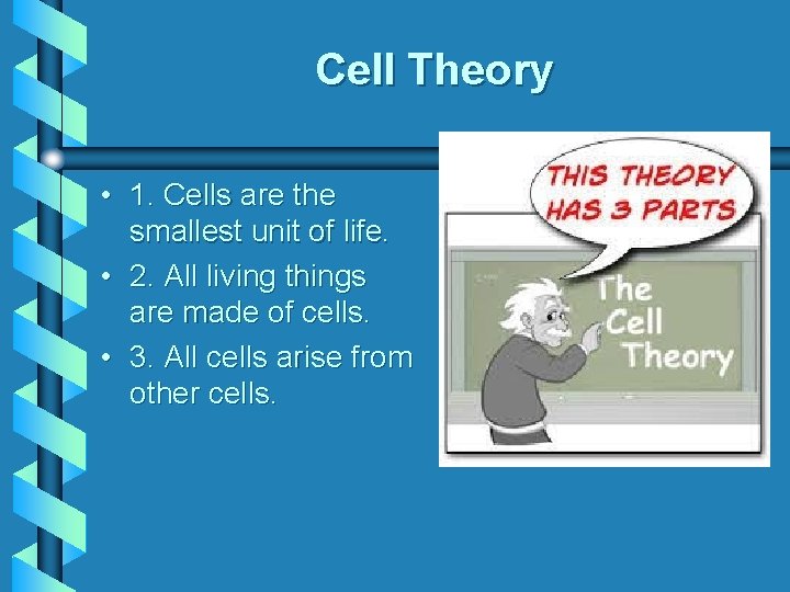 Cell Theory • 1. Cells are the smallest unit of life. • 2. All