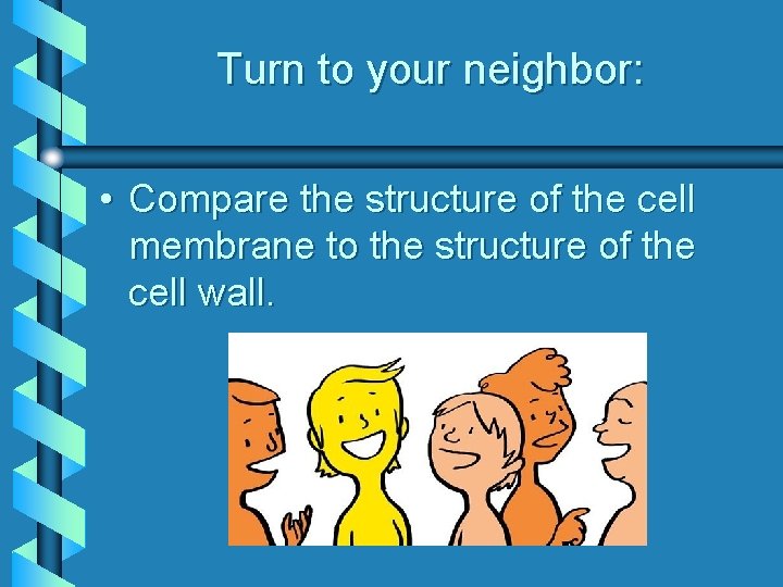 Turn to your neighbor: • Compare the structure of the cell membrane to the