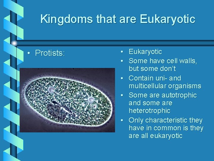 Kingdoms that are Eukaryotic • Protists: • Eukaryotic • Some have cell walls, but