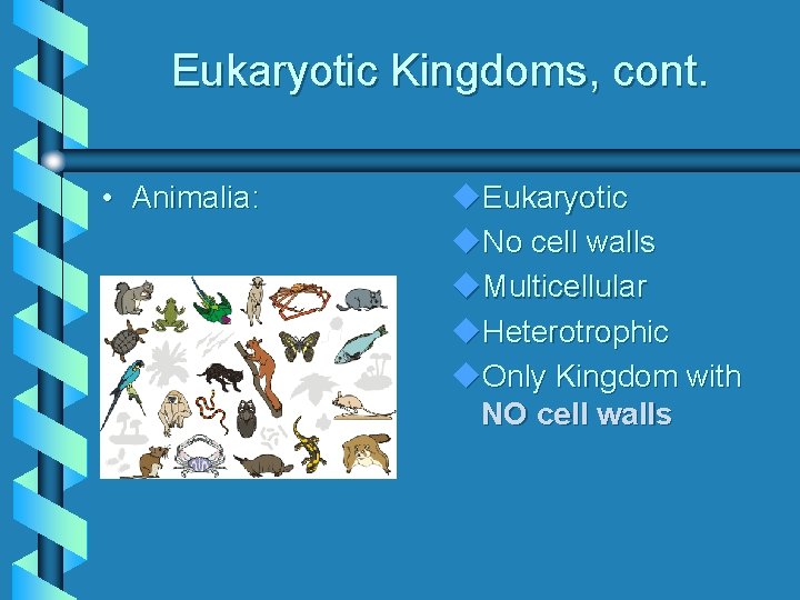 Eukaryotic Kingdoms, cont. • Animalia: Eukaryotic No cell walls Multicellular Heterotrophic Only Kingdom with