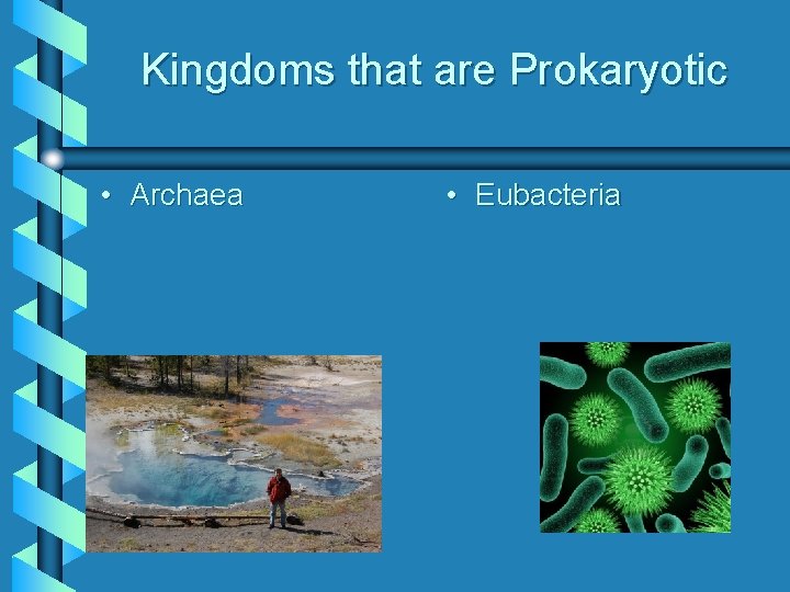 Kingdoms that are Prokaryotic • Archaea • Eubacteria 