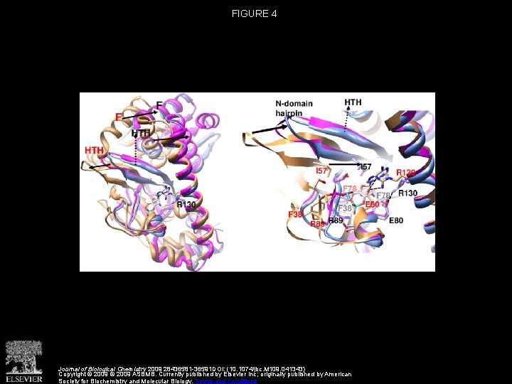 Structural Insights into the Mechanism of the Allosteric