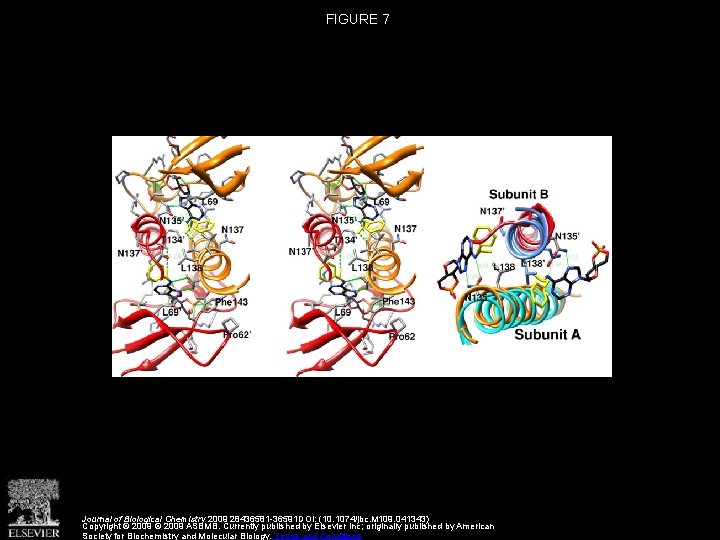 Structural Insights into the Mechanism of the Allosteric