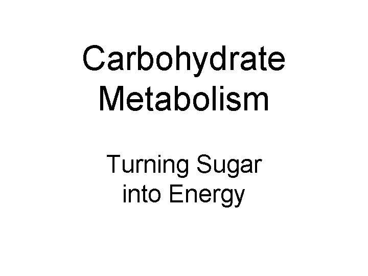 Carbohydrate Metabolism Turning Sugar into Energy 