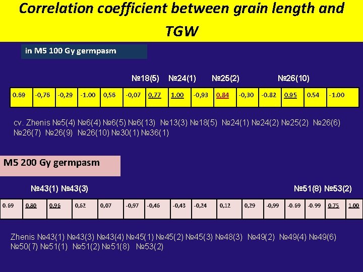Correlation coefficient between grain length and TGW in M 5 100 Gy germpasm №