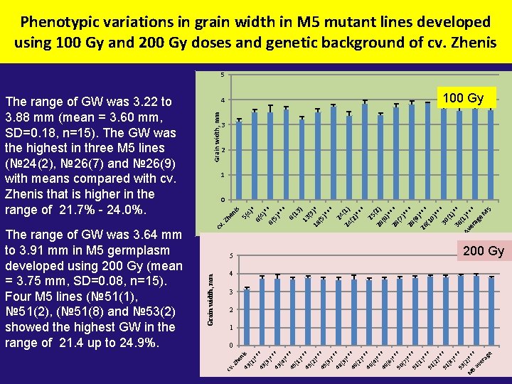 Phenotypic variations in grain width in M 5 mutant lines developed using 100 Gy
