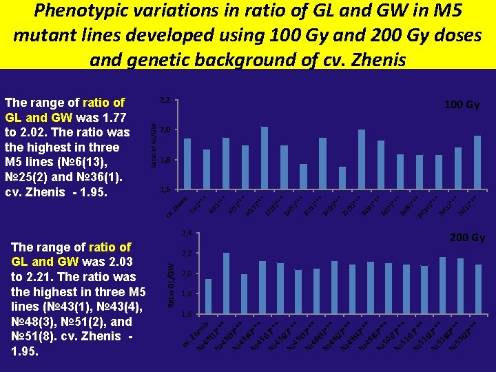 Phenotypic variations in ratio of GL and GW in M 5 mutant lines developed