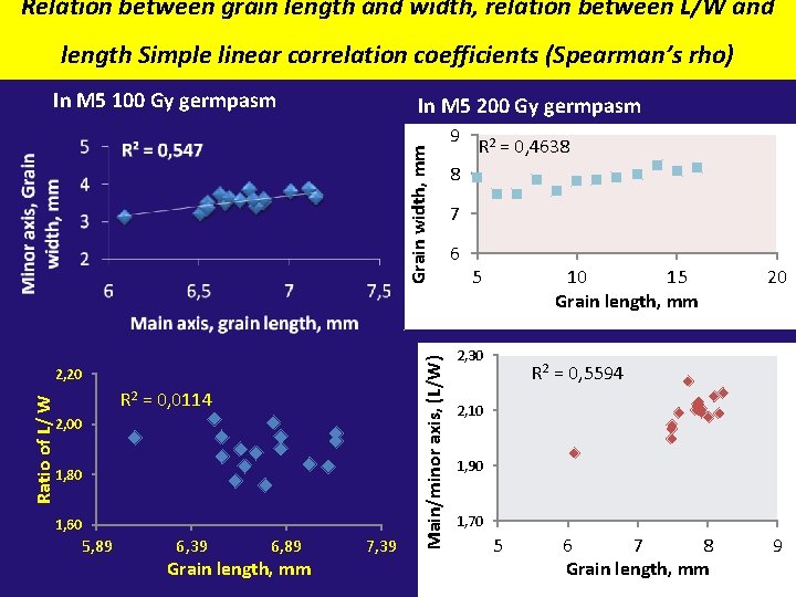 Relation between grain length and width, relation between L/W and length Simple linear correlation