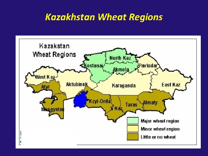 Kazakhstan Wheat Regions 