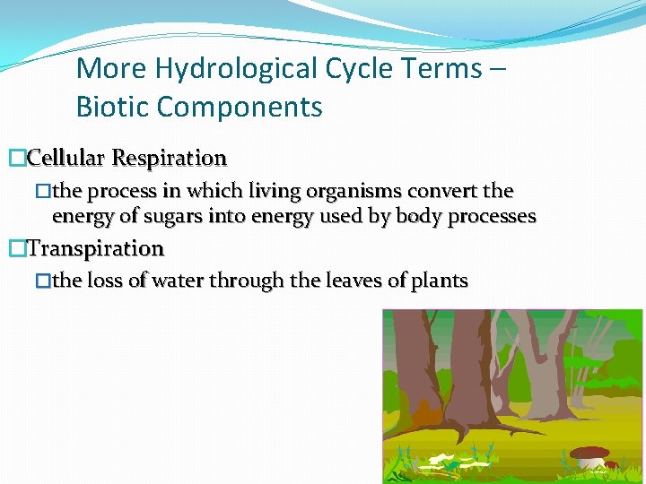 More Hydrological Cycle Terms – Biotic Components �Cellular Respiration �the process in which living