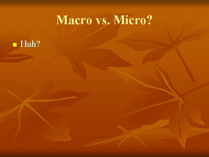 Macro vs. Micro? n Huh? 