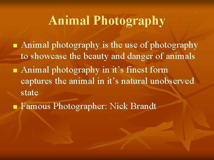 Animal Photography n n n Animal photography is the use of photography to showcase