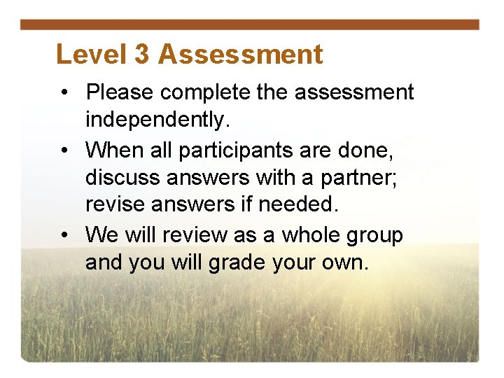 Level 3 Assessment • Please complete the assessment independently. • When all participants are