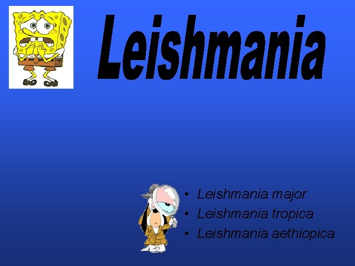  • Leishmania major • Leishmania tropica • Leishmania aethiopica 