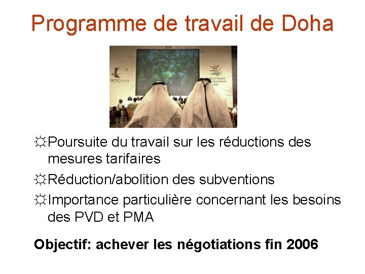 Programme de travail de Doha ☼ Poursuite du travail sur les réductions des mesures