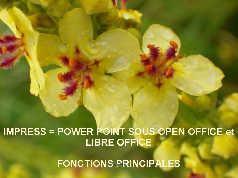 IMPRESS = POWER POINT SOUS OPEN OFFICE et LIBRE OFFICE ppe FONCTIONSexposé PRINCIPALES 1
