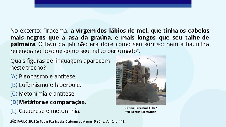 No excerto: “Iracema, a virgem dos lábios de mel, que tinha os cabelos mais