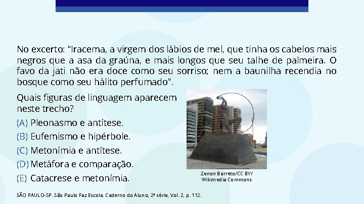 No excerto: “Iracema, a virgem dos lábios de mel, que tinha os cabelos mais