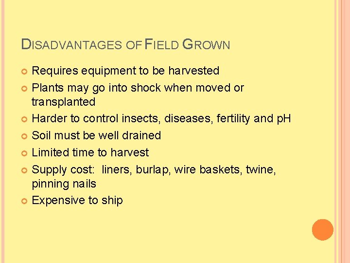 DISADVANTAGES OF FIELD GROWN Requires equipment to be harvested Plants may go into shock