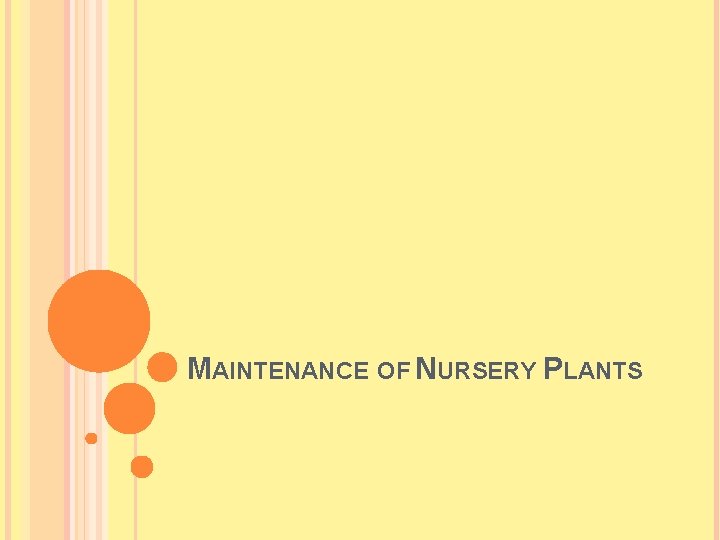 MAINTENANCE OF NURSERY PLANTS 