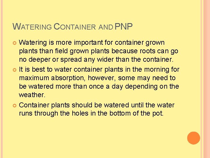 WATERING CONTAINER AND PNP Watering is more important for container grown plants than field