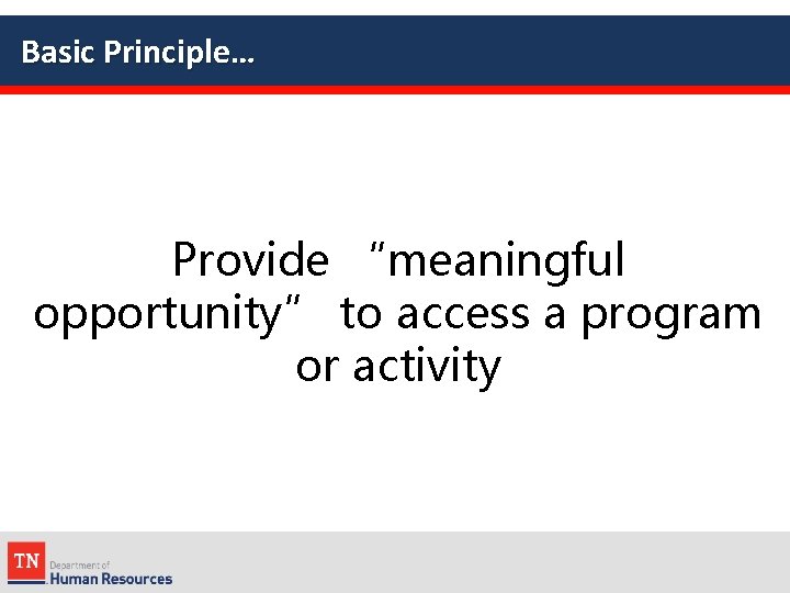 Basic Principle… Provide “meaningful opportunity” to access a program or activity 