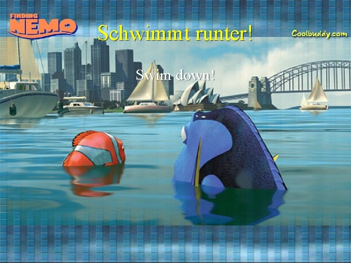 Schwimmt runter! Swim down! 