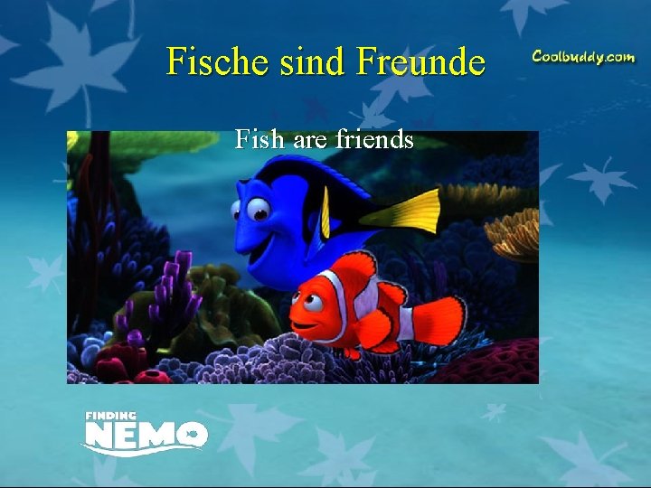 Fische sind Freunde Fish are friends 