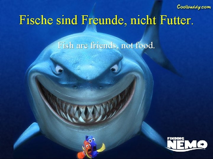 Fische sind Freunde, nicht Futter. Fish are friends, not food. 