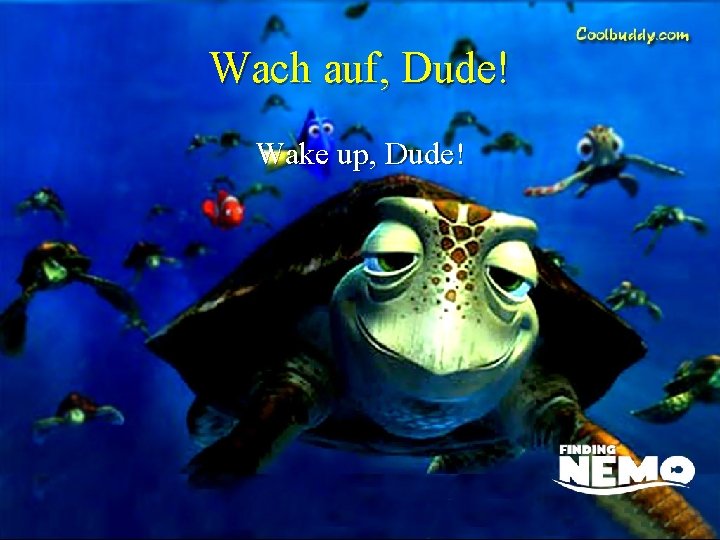 Wach auf, Dude! Wake up, Dude! 