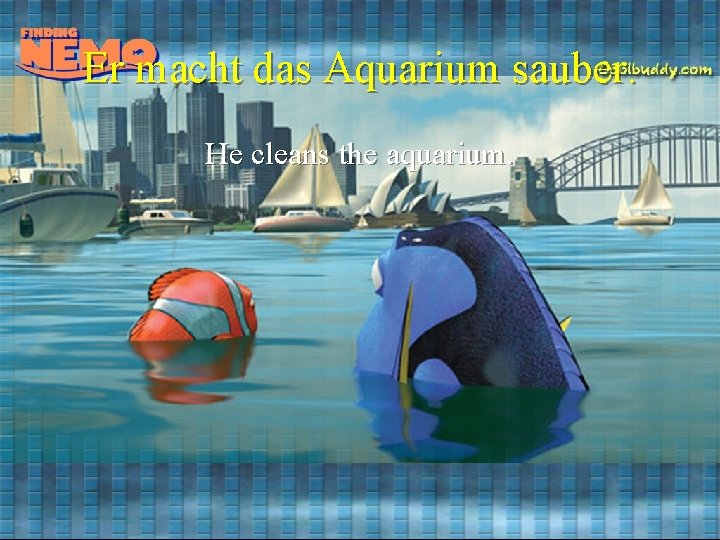 Er macht das Aquarium sauber. He cleans the aquarium. 